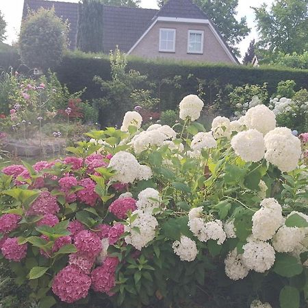 Villa Dajan à Almere Extérieur photo